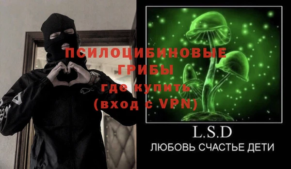 ешки Арсеньев