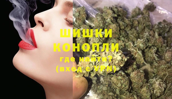 ешки Арсеньев
