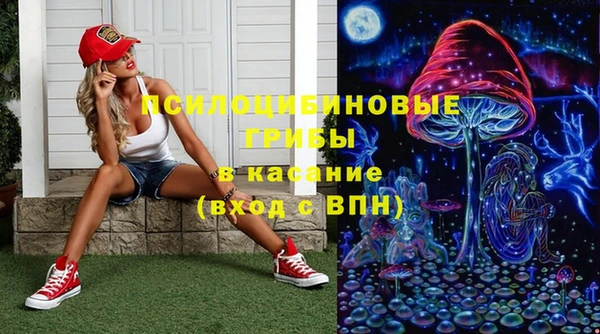 ешки Арсеньев